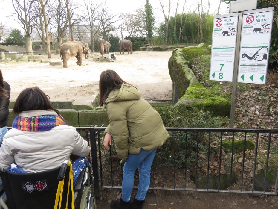 Wunschfahrt zum Tierpark Hagenbeck